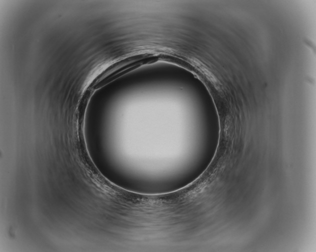 X0000097640877200802291402