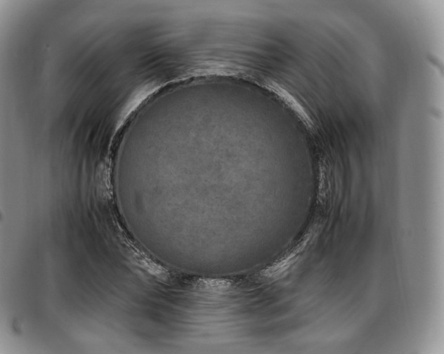 X0000097640878200802291402