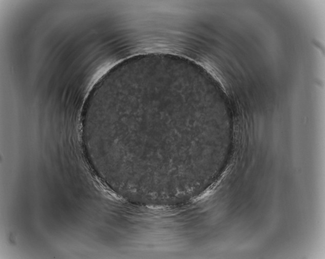 X0000097640879200802291402