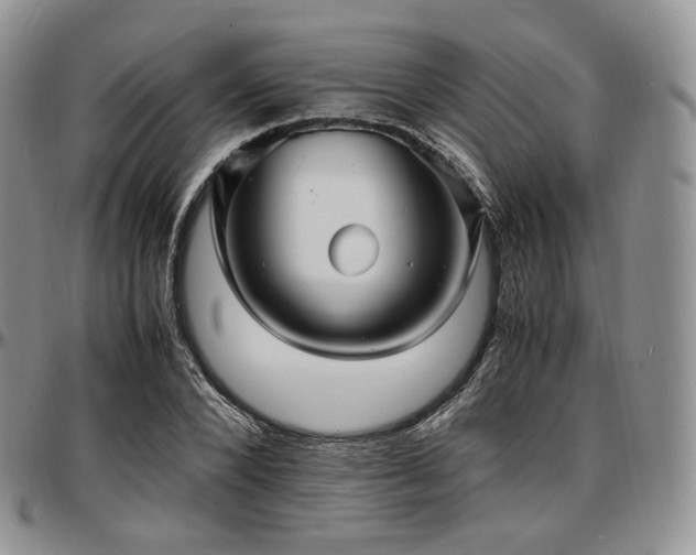X0000097640880200802291402