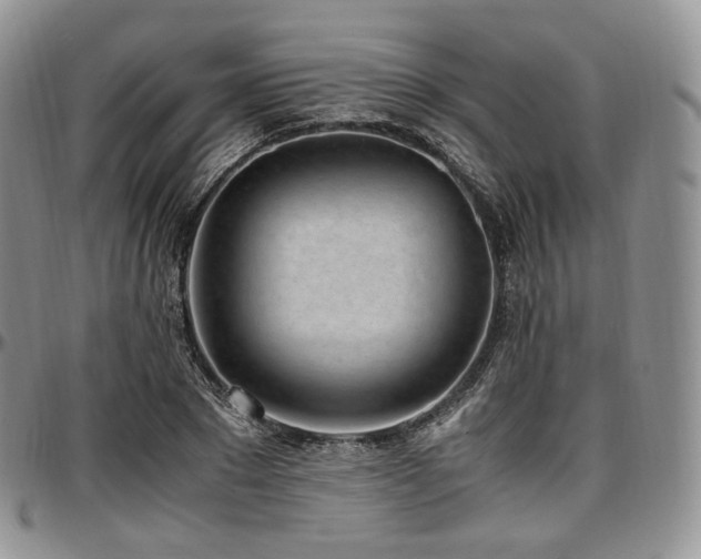 X0000097640881200802291402