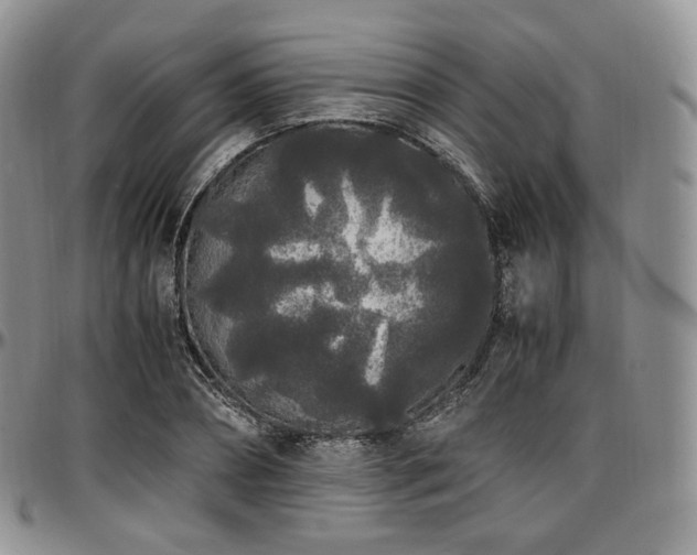 X0000097640882200802291402