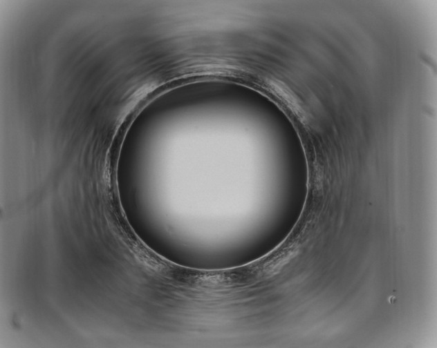 X0000097640883200802291402