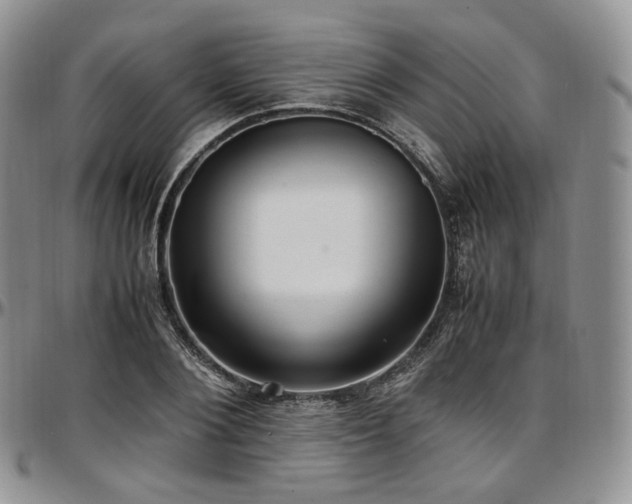 X0000097640884200802291402
