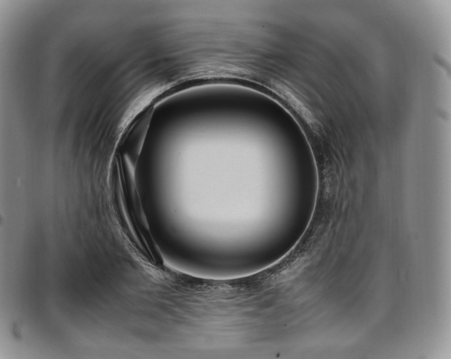 X0000097640885200802291402