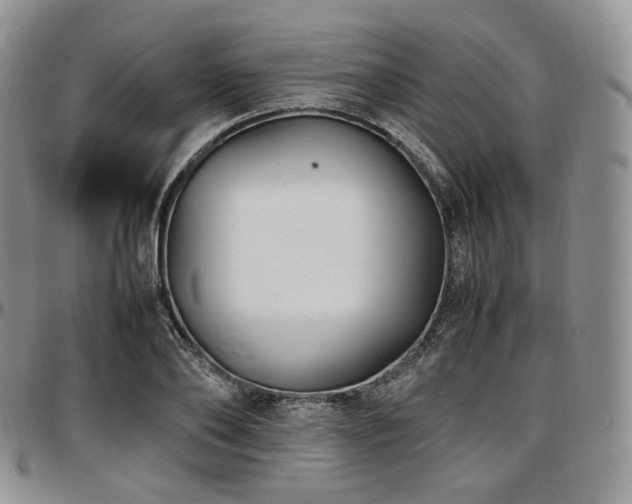 X0000097640886200802291402