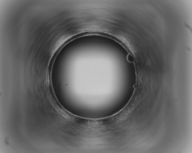 X0000097640887200802291402