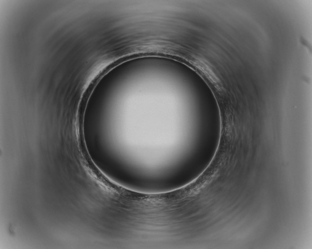 X0000097640888200802291402