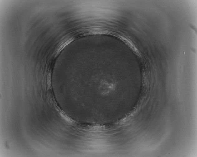 X0000097640889200802291402