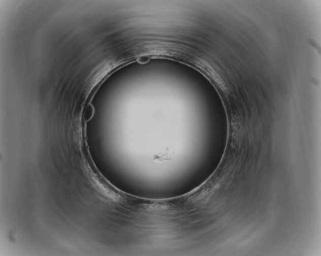 X0000097640890200802291402