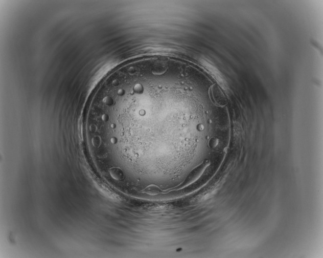 X0000097640891200802291402