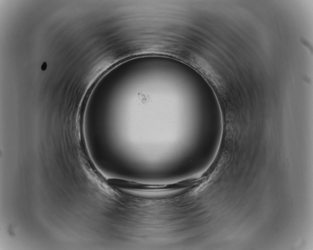 X0000097640892200802291402