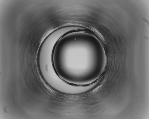 X0000097640893200802291402