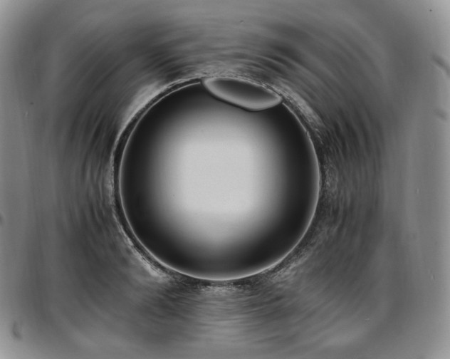 X0000097640894200802291402