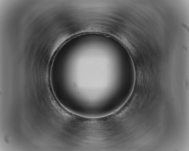 X0000097640896200802291402