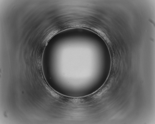 X0000097640897200802291402