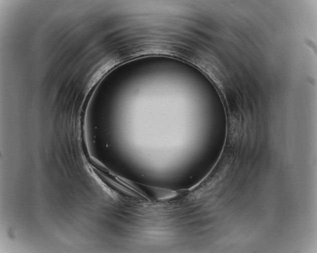 X0000097640898200802291401