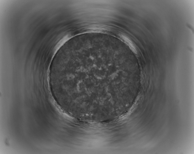 X0000097640899200802291401