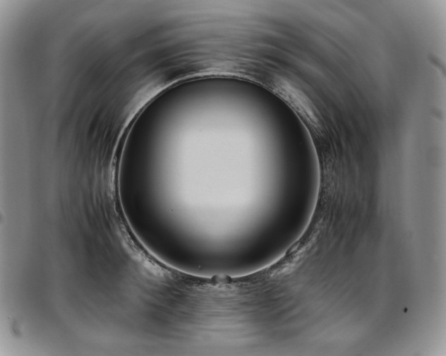 X0000097640900200802291401