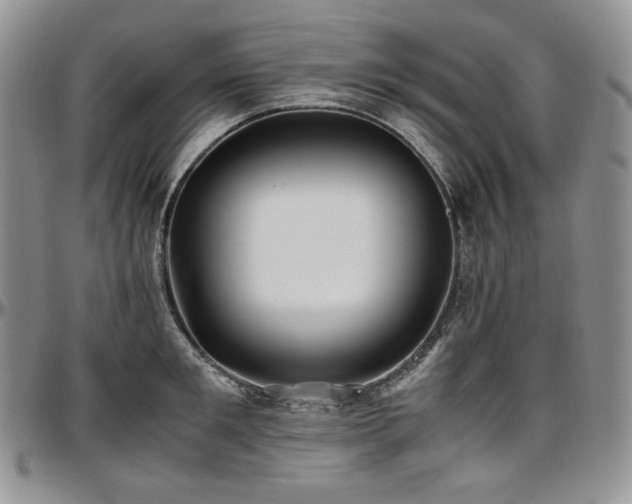 X0000097640901200802291401