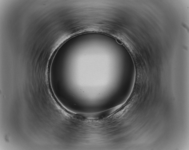 X0000097640902200802291401
