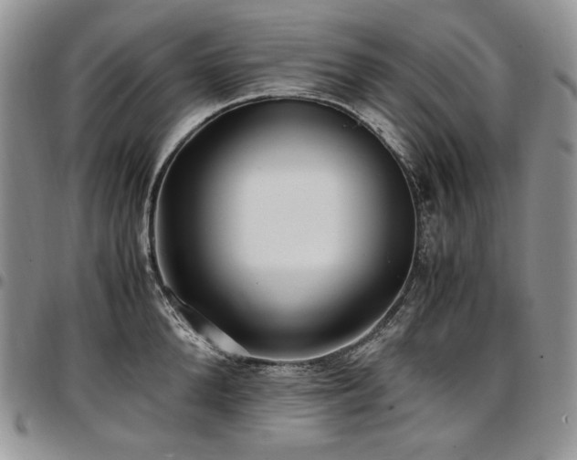 X0000097640904200802291401