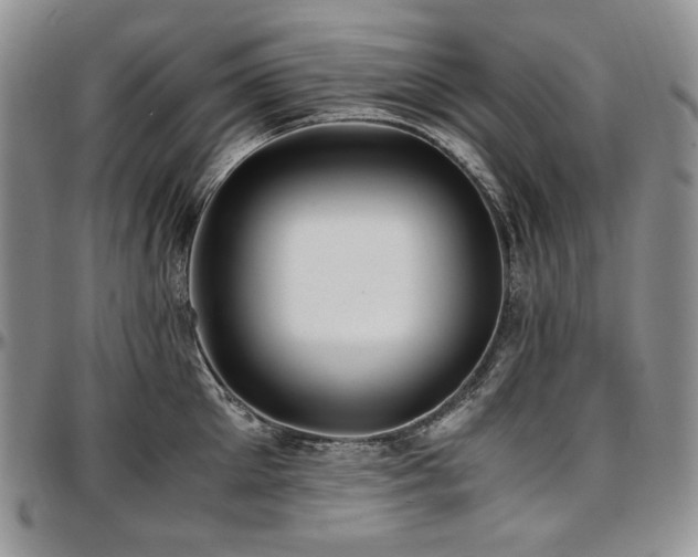 X0000097640905200802291401