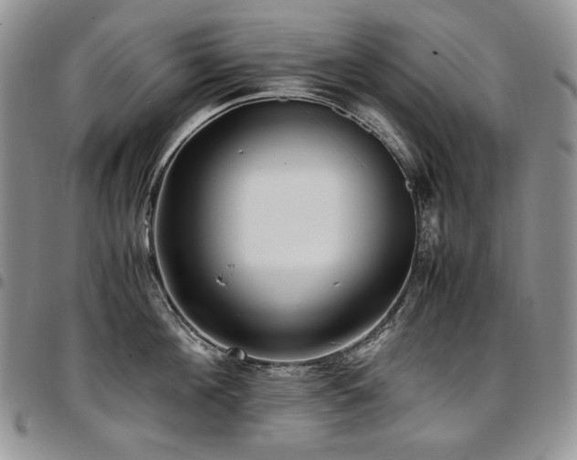 X0000097640908200802291401