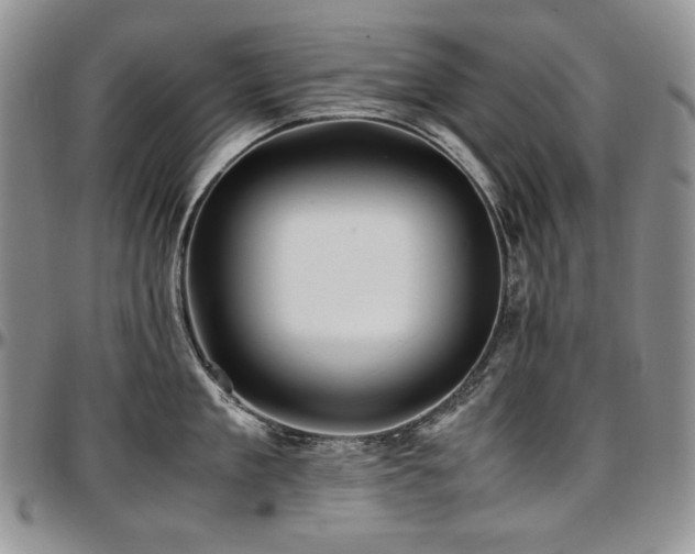 X0000097640909200802291401