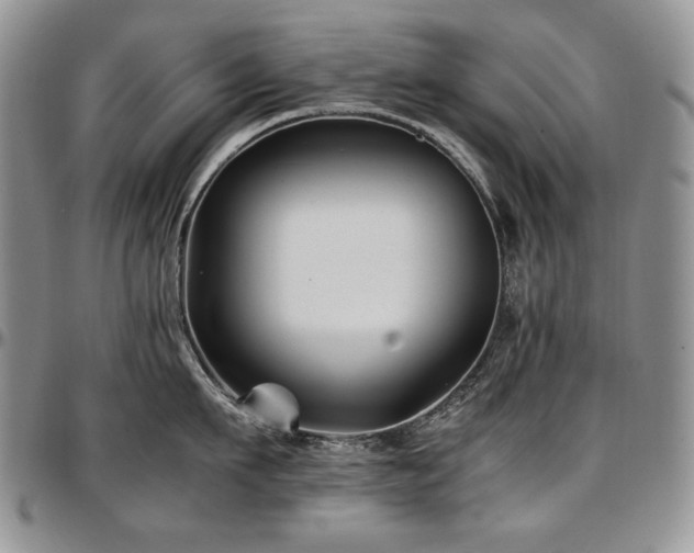 X0000097640911200802291401