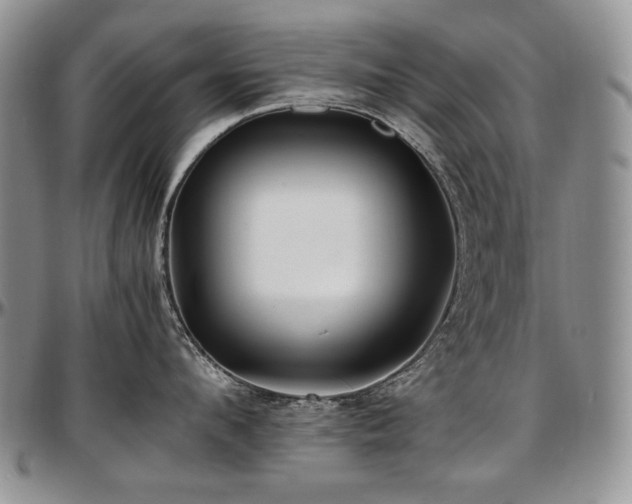 X0000097640912200802291401