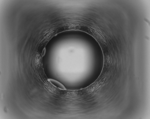 X0000097640914200802291401