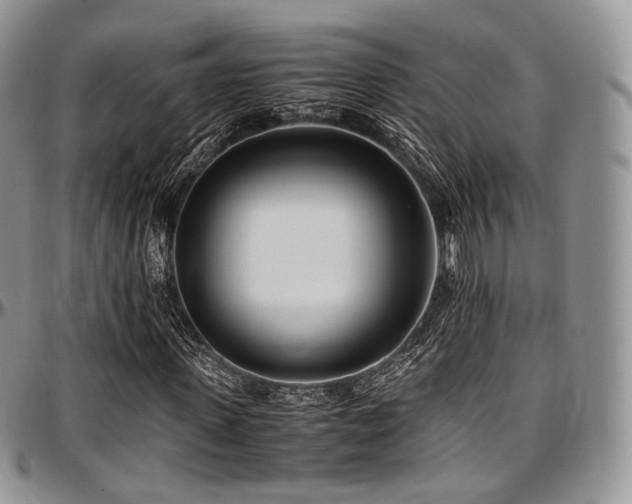 X0000097640915200802291401