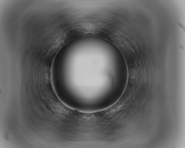 X0000097640916200802291401