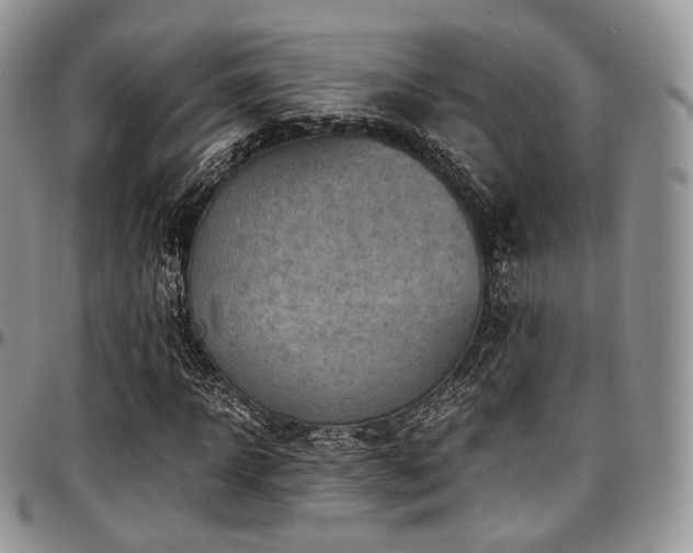 X0000097640918200802291401
