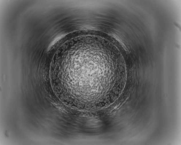 X0000097640919200802291401