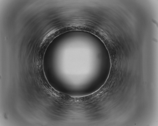 X0000097640920200802291401