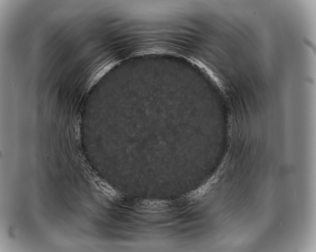 X0000097640921200802291401