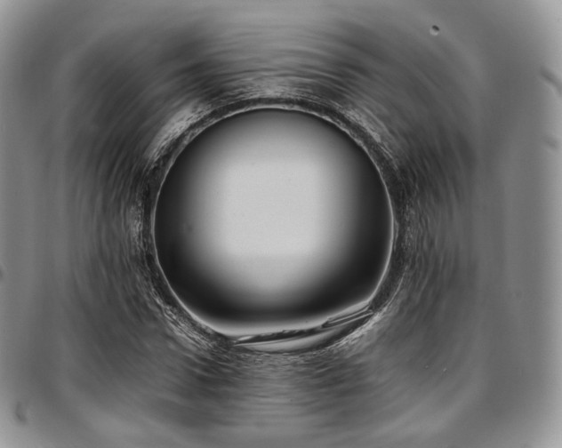 X0000097640922200802291401