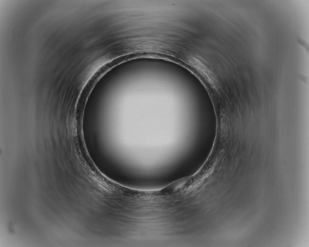 X0000097640924200802291401