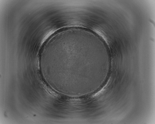 X0000097640925200802291401