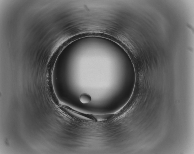 X0000097640926200802291401