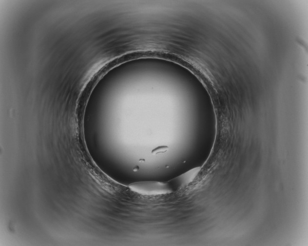 X0000097640927200802291401