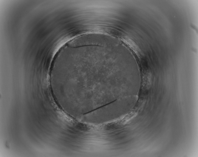 X0000097640928200802291401