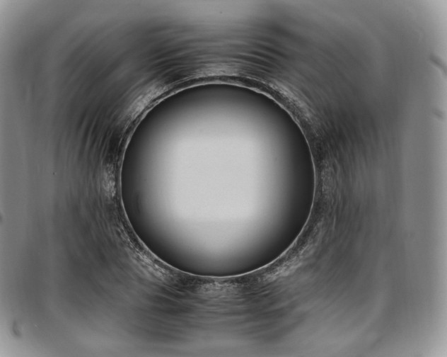 X0000097640929200802291401