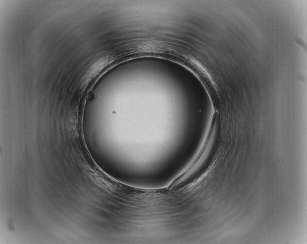 X0000097640930200802291401