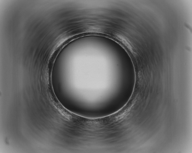 X0000097640931200802291401