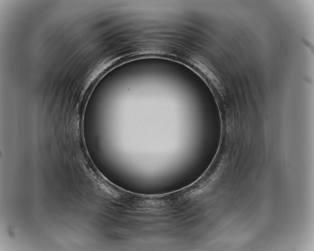 X0000097640933200802291401