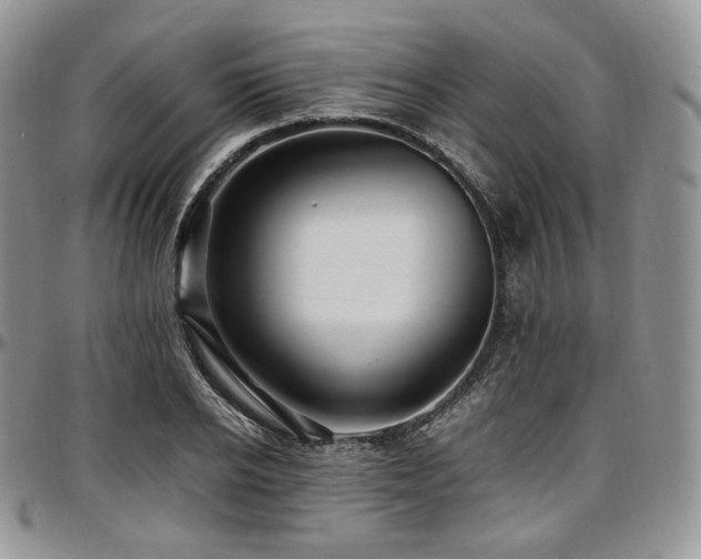 X0000097640934200802291401