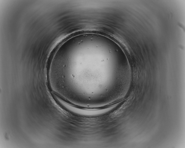 X0000097640935200802291401
